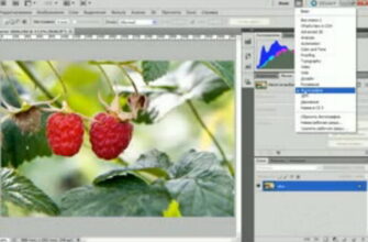 uroki_photoshop_video_6